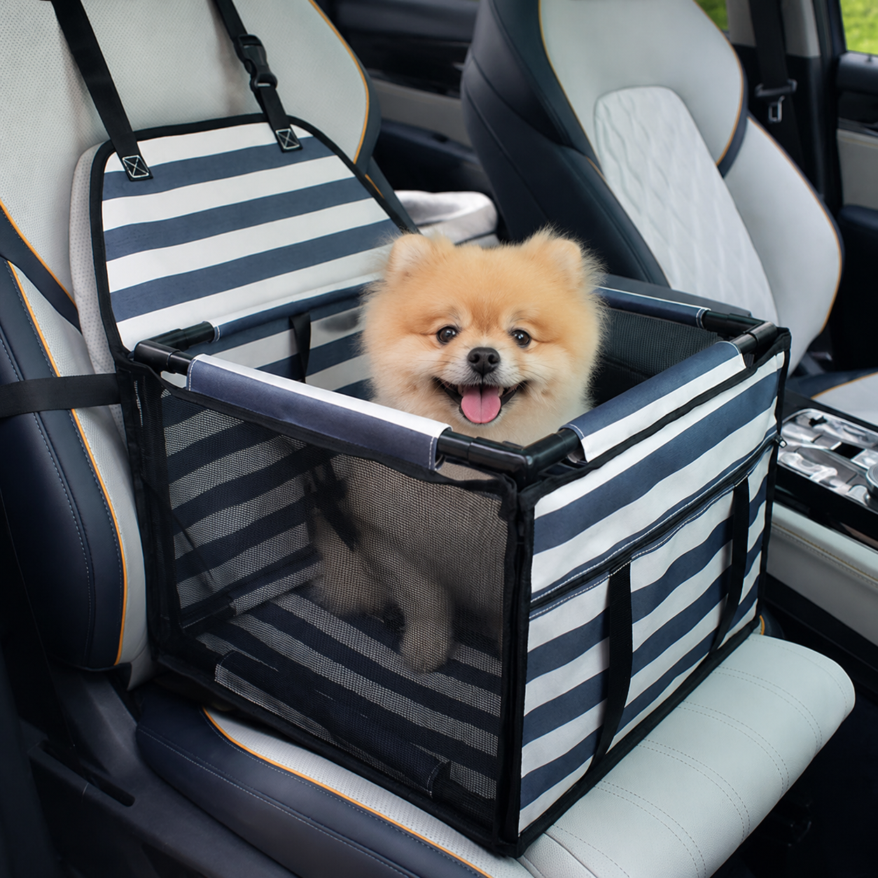Waterproof Pet Car Booster Seat – Striped