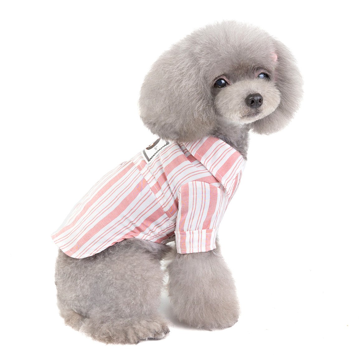 Soft Cotton Pet Shirt