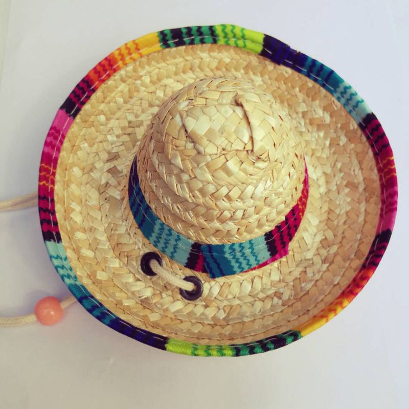 Adjustable Pet Sun Hat